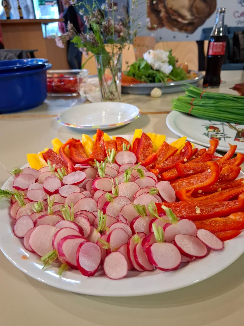 464155478_543880378339427_8320527305111566209_n Ein Teller auf dem geschnittenes Gemüse liegt: Paprika und Radieschen.