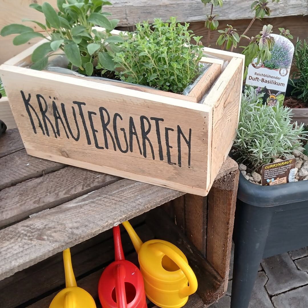 Kräuter stehen in einem Holzkästchen, das mit dem Wort "Kräutergarten" beschriftet ist.